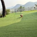 쏠베르펜션 이미지