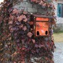 바람햇살농장 이미지