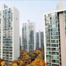 분당-129 이미지