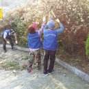 봉래2동-10 이미지