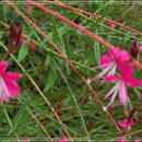 뚝섬한강공원-101 이미지