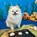 멍스토리 이미지