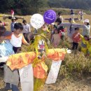 밤두둑마을 이미지