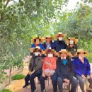 임마누엘팜 이미지