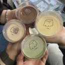 동문 | 제주도 기념품 디저트 우무 푸딩 동문시장점 후기