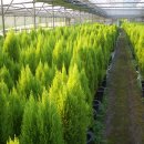 대형농장 이미지