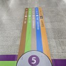 김포시 교통약자 이동지원센터 | 서울대입구역에서 김포공항 가는법 지하철 제주도 가족여행 시작