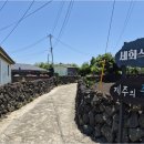 바람소리민박 | 여유와 힐링의 공간, 제주동쪽민박 세화스테이에서 찾은 특별한 감성독채펜션 이야기