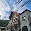 포레스트878