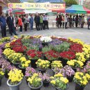 강정리 경로당 충청신문