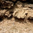 백의리층 이미지