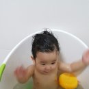 PC복댕이 이미지