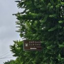 인천대공원 야영장 이미지