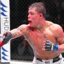 (주)고릴라코리아 이미지