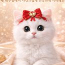 미유펫대구 강아지분양고양이분양(도그플러스동물병원) 이미지