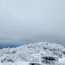 지산사슴목장 네이버블로그