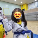 세빛태권도장 이미지