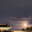 별이네청과 | 수원 화홍문 화성행궁 2022 미디어아트쇼 관람 후기