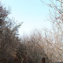 (무의도) 호룡곡산산림욕장 ~ 환상의길 ~ 호룡곡산 정상 ~ 광명항 (2012년3월18일)