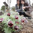 서사분교 이미지