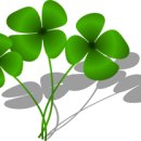 (주)몽스 이미지