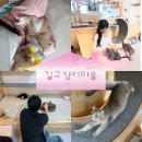 성수왕방힐링마을 | 서울 고양이카페 힐링 후기,성수 실내 데이트로 딱이었던🐈길고양이마을 성수협력점🐈‍⬛