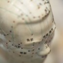 보창한의원 이미지