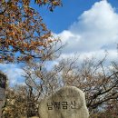 금산-55 이미지
