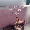 스테이 뭉구 이미지