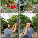 번성농장 이미지