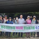 제주수거