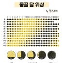 달그림자공원 | [몽골여행] 달밝은 시기에 남고비사막 투어에서 별보기&amp;별사진 찍어온 후기