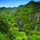 산수화로 이미지