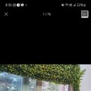 캠핑 고양이 네이버블로그