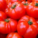 항산화 과일 토마토를 먹으면 알게 되는 몸의 효과들은? 이미지
