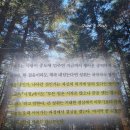 생활속의 주역 | 다시 살아내는 힘 논어 책 | 한덕수 책 후기 | 다이어트든 영어공부든 딱 백일만 추천 리뷰 핵심 요약