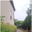 꿈의정원 펜션 이미지