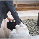 대전추모공원 | 대전시립추모공원에서 마지막 인사, 유가족의 마음을 담은 추모 방법