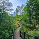 우면산5-7 이미지