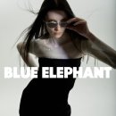 펫플레이스 이미지