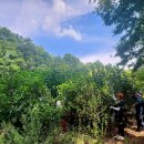 속리산농장 이미지