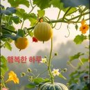 9월 17일 수요일 충방출석부 이미지