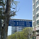 리움 | 성남 분당 바실리움 투어후기 (26년 하반기 예식 계약o/견적공유)