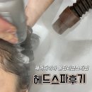 (주)기장교통 | 분당 미용실 헤어다이아 분당미금스타점에서 롱기장 헤드스파 두피케어 시술후기