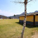 정선5일장 둔치주차장 이미지