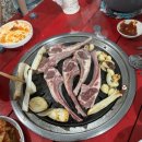 별빛펜션 | 강원도 횡성 계곡 펜션 추천 프라이빗한 별빛계곡펜션 후기