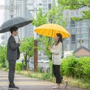 (주)호우국제
