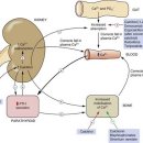 수성온유약국 이미지
