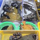 대영수산 이미지