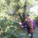 장미정원민박 이미지